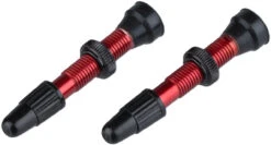 Wtb Valve Tubeless TCS Presta En Laiton -Shimano Soldes Magasin 131984