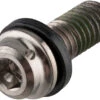 Shimano Vis En Titane Pour Étrier De Frein XTR