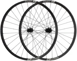 Dt-swiss Set De Roues EX 1700 SPLINE 30 Boost Disc Center Lock 29"