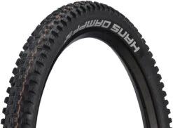 Schwalbe Pneu Souple Hans Dampf Evolution ADDIX Soft Super Gravity 26"