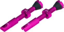 Set De 2 Valves Tubeless Chris King Edition MK2 -Shimano Soldes Magasin 421876