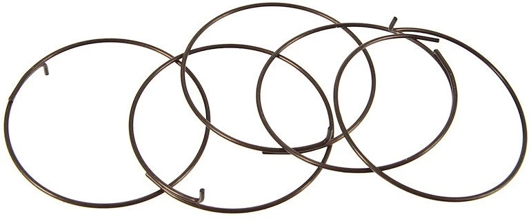 Fulcrum Ressorts à Cliquets 5-R1-015 Pour Corps De Roue Libre Route 1 Fulcrum Ressorts à Cliquets 5-R1-015 Pour Corps De Roue Libre Route